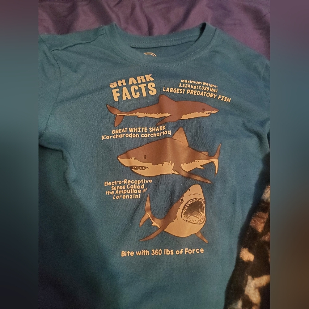 Shark PJs - Picture 2 of 3